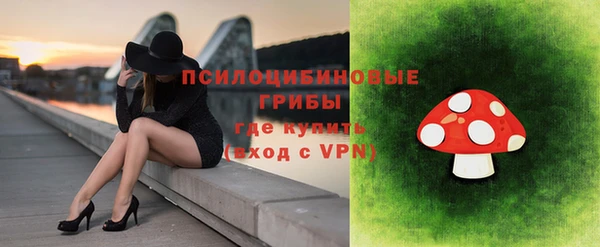 мескалин Няндома