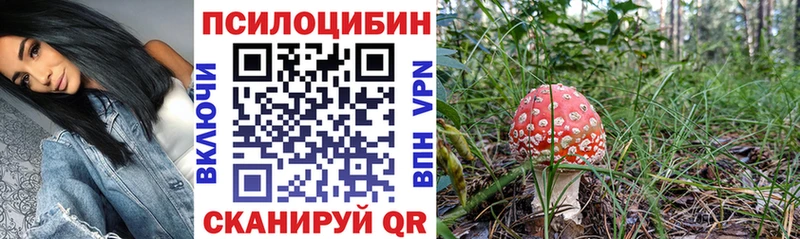 Галлюциногенные грибы ЛСД  OMG маркетплейс  Лаишево  даркнет сайт 